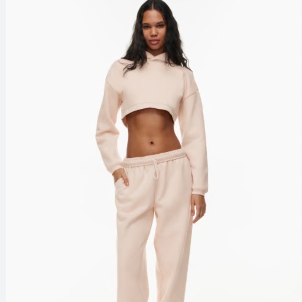 NWT Aritzia perfect fit gray shrug cropped hoodie